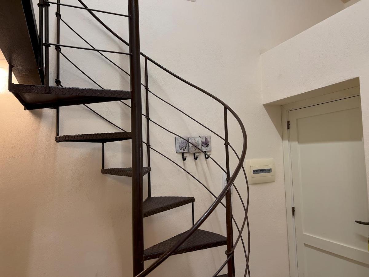 Suite Minerva 10 Steps From Piazza Civica 阿尔盖罗 外观 照片