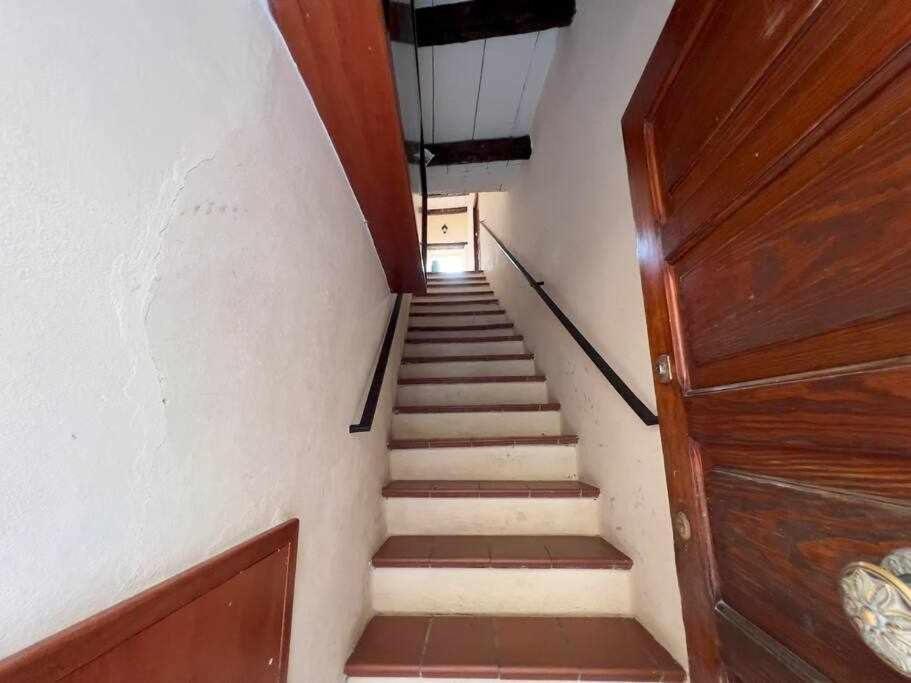 Suite Minerva 10 Steps From Piazza Civica 阿尔盖罗 外观 照片
